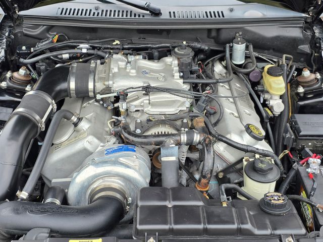 1999 Ford Mustang SVT Cobra Convertible