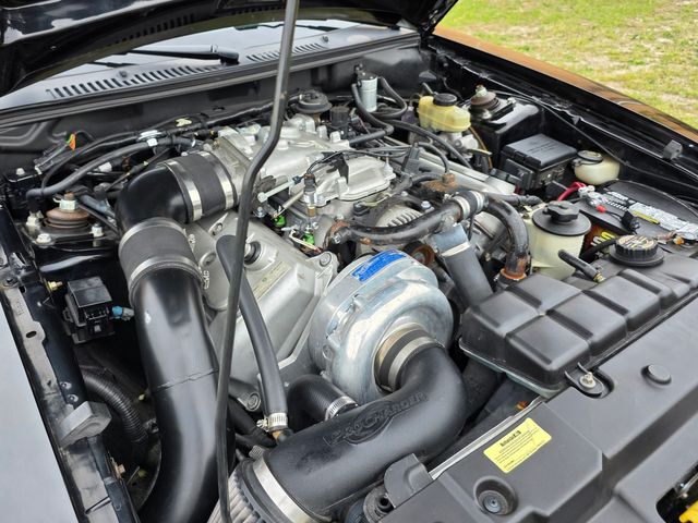 1999 Ford Mustang SVT Cobra Convertible 1999 Ford Mustang SVT Cobra Convertible