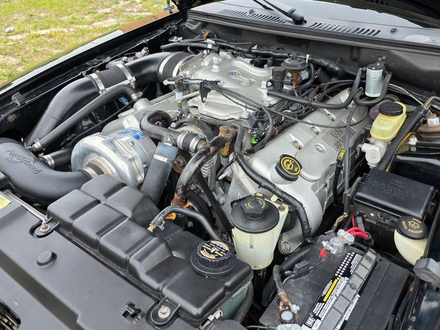 1999 Ford Mustang SVT Cobra Convertible 1999 Ford Mustang SVT Cobra Convertible