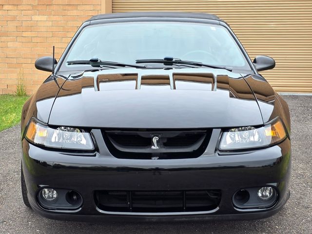 1999 Ford Mustang SVT Cobra Convertible 1999 Ford Mustang SVT Cobra Convertible