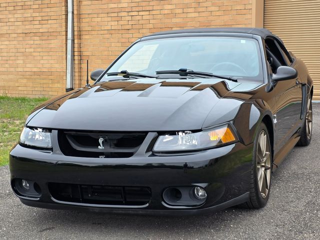 1999 Ford Mustang SVT Cobra Convertible