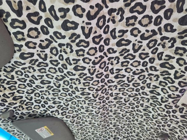 2000 Ford F-250 Super Duty XL | Conroe, TX | GNC Motors