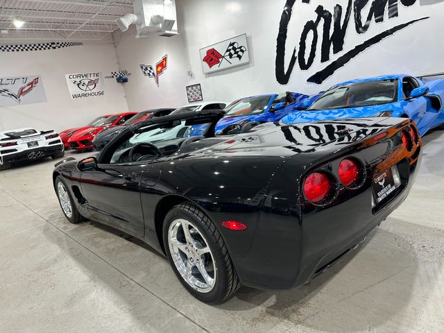 2001 Chevrolet Corvette CONV 1SC, F45, G92, Auto, Polished, Only 4k | Dallas, Texas | Corvette Warehouse 2001 Chevrolet Corvette CONV 1SC, F45, G92, Auto, Polished, Only 4k | Dallas, Texas | Corvette Warehouse