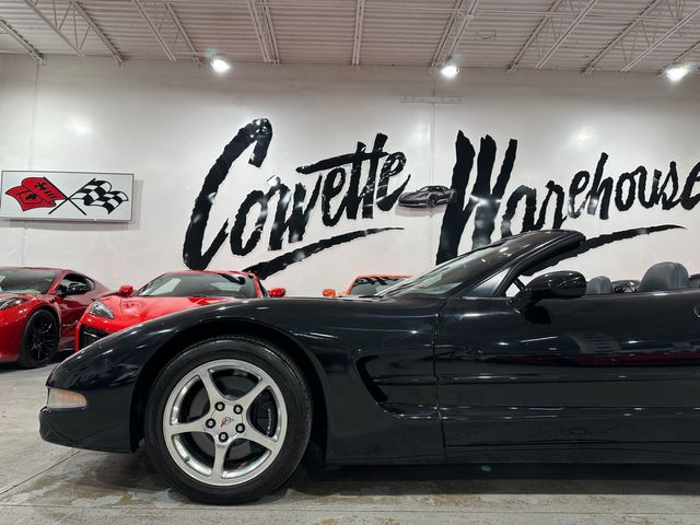 2002 Chevrolet Corvette Convertible, 1SC, Z51, G92, B84, U1S, Polished 83k | Dallas, Texas | Corvette Warehouse 2002 Chevrolet Corvette Convertible, 1SC, Z51, G92, B84, U1S, Polished 83k | Dallas, Texas | Corvette Warehouse