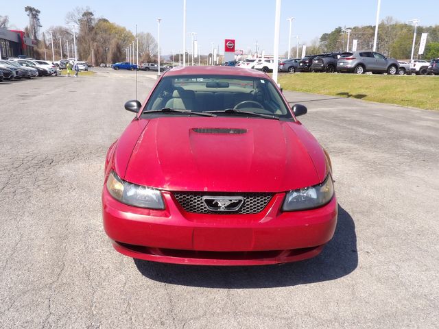 2002 Ford Mustang Base | Dalton, GA | Paniagua Auto Mall 