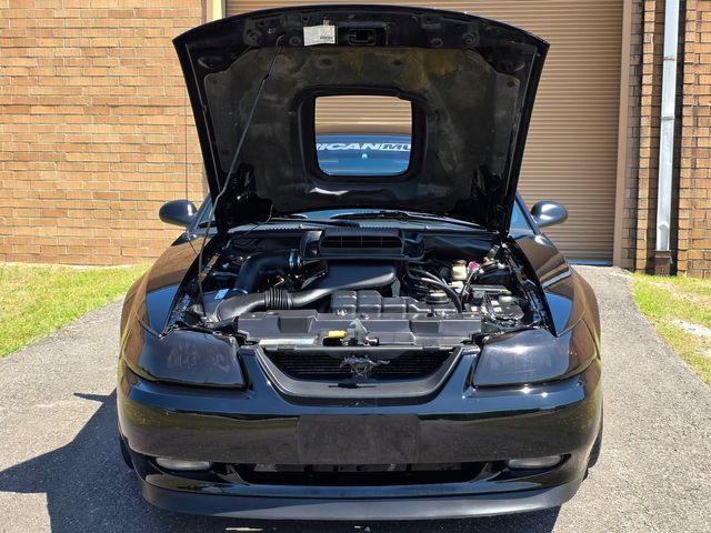 2003 Ford Mustang Mach 1 Premium 2003 Ford Mustang Mach 1 Premium
