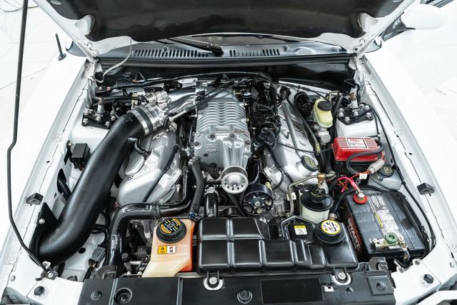 2003 Ford Mustang SVT Cobra with 14,655 Original Miles with Upgrades | Dallas, TX | RPM Garage