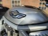 2003 Harley-Davidson VRSC V-Rod Anniversary | Oaks, PA | East 11 Motorcycle Exchange, LLC 2003 Harley-Davidson VRSC V-Rod Anniversary | Oaks, PA | East 11 Motorcycle Exchange, LLC