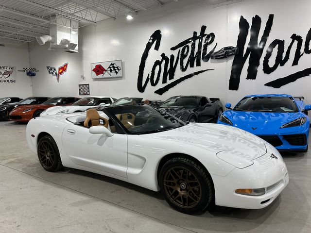2004 Chevrolet Corvette CONV 1SB, HUD, Sports, Auto, Borla, $8k Xtras | Dallas, Texas | Corvette Warehouse 2004 Chevrolet Corvette CONV 1SB, HUD, Sports, Auto, Borla, $8k Xtras | Dallas, Texas | Corvette Warehouse