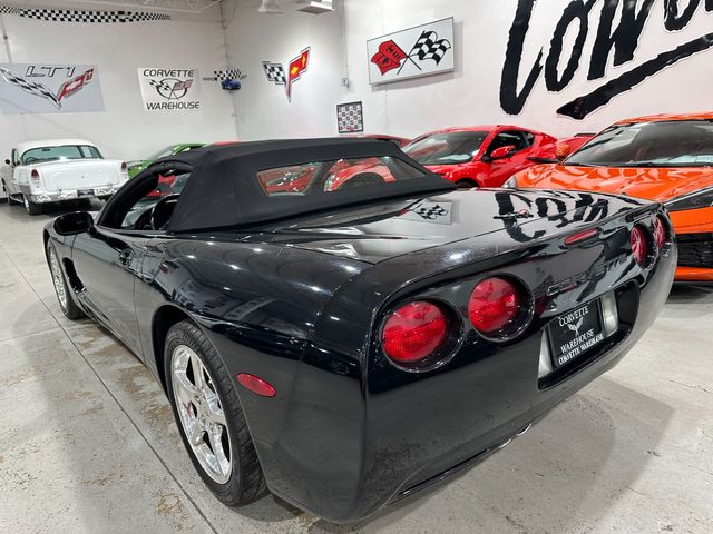 2004 Chevrolet Corvette Convertible Triple Blk 1SB, Z51, 6-Speed, Polished | Dallas, Texas | Corvette Warehouse 