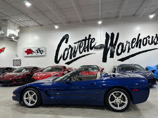 2004 Chevrolet Corvette CONV Commemorative Edition 1-Owner, Auto, 23k | Dallas, Texas | Corvette Warehouse 2004 Chevrolet Corvette CONV Commemorative Edition 1-Owner, Auto, 23k | Dallas, Texas | Corvette Warehouse