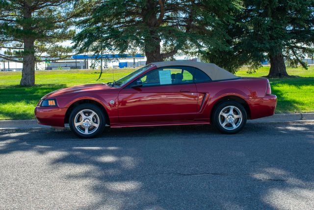2004 Ford Mustang Convertible Deluxe | Great Falls, Montana | Bleskin Motor Company 2004 Ford Mustang Convertible Deluxe | Great Falls, Montana | Bleskin Motor Company