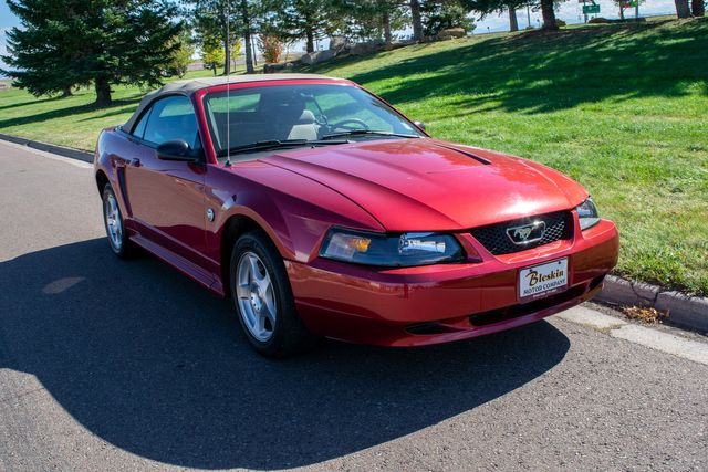 2004 Ford Mustang Convertible Deluxe | Great Falls, Montana | Bleskin Motor Company 2004 Ford Mustang Convertible Deluxe | Great Falls, Montana | Bleskin Motor Company