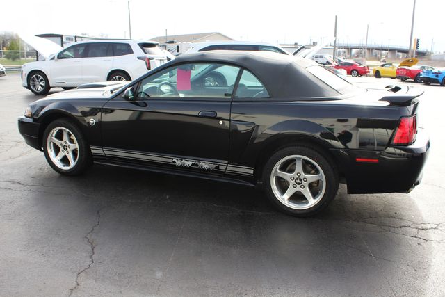 2004 Ford Mustang GT Deluxe | Granite City, Illinois | MasterCars Company Inc.
