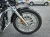2005 Harley-Davidson Sportster 883 FRANKENSTEIN TRIKE FRANKENSTEIN TRIKE | Ephrata, PA | Oregon Pike Motors