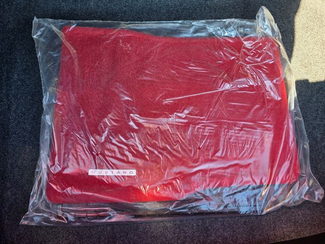 2006 Ford Mustang GT Premium 2006 Ford Mustang GT Premium