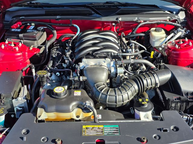 2006 Ford Mustang GT Premium 2006 Ford Mustang GT Premium