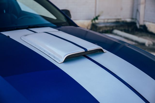 2008 Ford Mustang GT Premium Shelby GT | Addison, TX | Apex Auto Sports 2008 Ford Mustang GT Premium Shelby GT | Addison, TX | Apex Auto Sports