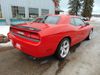 2009 Dodge Challenger SRT8 | Alexandria, Minnesota | Image Auto Sales (MN)