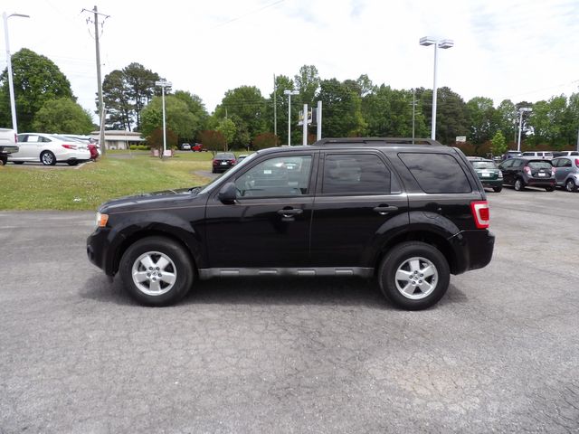 2009 Ford Escape XLT | Dalton, GA | Paniagua Auto Mall 