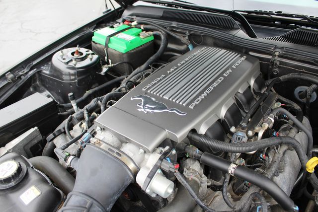 2009 Ford Mustang GT Premium | Granite City, Illinois | MasterCars Company Inc.