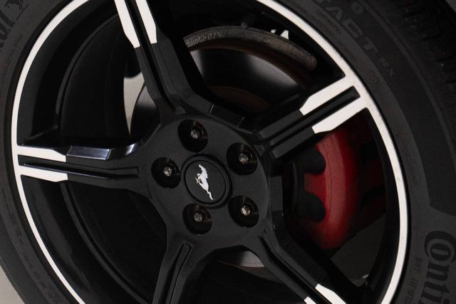 2009 Ford Mustang V6 Premium 2dr Fastback | Houston, TX | Houston Auto Credit 2009 Ford Mustang V6 Premium 2dr Fastback | Houston, TX | Houston Auto Credit