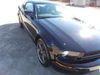 2009 Ford Mustang GT Premium | Shelbyville, TN | Mike's Auto Sales 2009 Ford Mustang GT Premium | Shelbyville, TN | Mike's Auto Sales