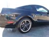 2009 Ford Mustang GT Premium | Shelbyville, TN | Mike's Auto Sales 2009 Ford Mustang GT Premium | Shelbyville, TN | Mike's Auto Sales