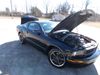 2009 Ford Mustang GT Premium | Shelbyville, TN | Mike's Auto Sales