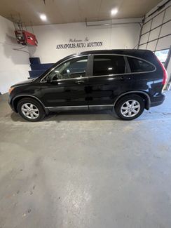 2009 Honda CR-V EXL | Annapolis, MD | Annapolis Public Auto Auction in Annapolis, MD 21401