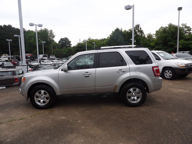 2010 Ford Escape Limited | Dalton, GA | Paniagua Auto Mall 
