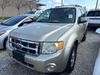 2010 Ford Escape XLT | Kenner, LA | Auto Nation LLC