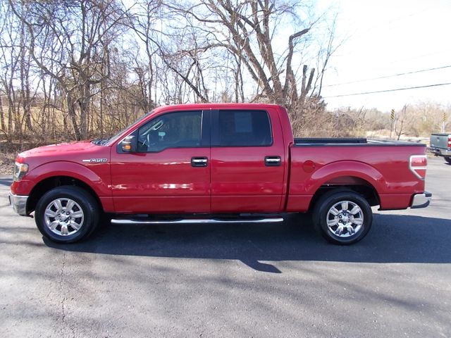 2010 Ford F-150 XLT