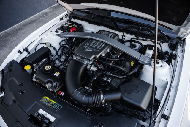 2010 Ford Mustang GT Premium | Addison, TX | Apex Auto Sports 2010 Ford Mustang GT Premium | Addison, TX | Apex Auto Sports