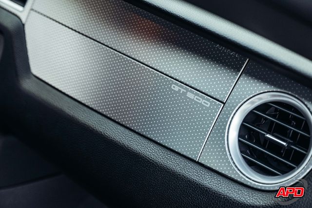 2010 Ford Shelby GT500 