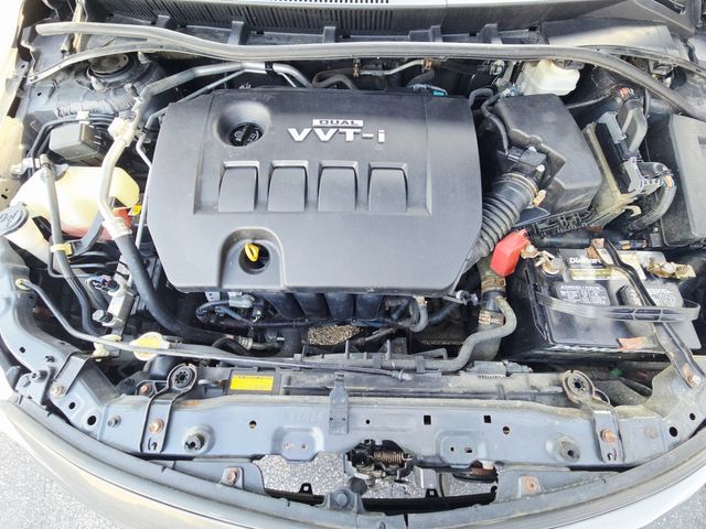 2010 Toyota Corolla LE | Ellisville, MO | AutoPort