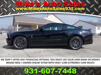 2011 Ford Shelby GT500 Base | Shelbyville, TN | Mike's Auto Sales