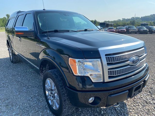 2012 Ford F-150 Platinum | Maryland Heights, MO | Continental Auto Sales