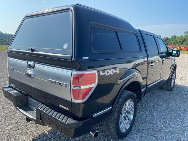 2012 Ford F-150 Platinum | Maryland Heights, MO | Continental Auto Sales