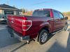 2013 Ford F-150 XLT | Hayes, VA | Gemini Auto