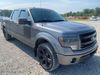 2013 Ford F-150 FX4 | Maryland Heights, MO | Continental Auto Sales
