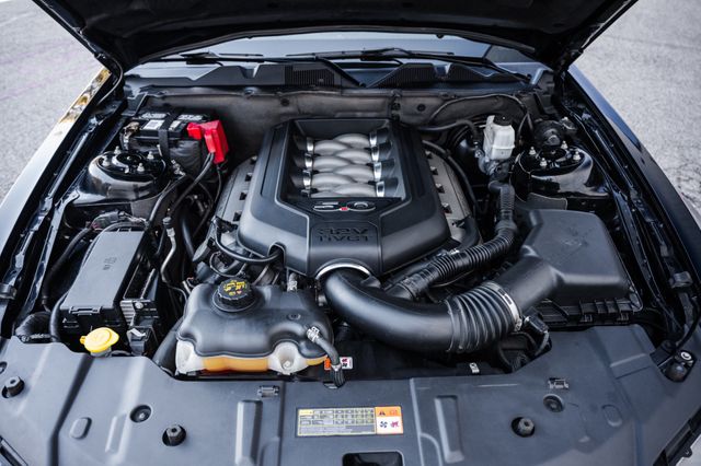 2013 Ford Mustang GT Premium | Addison, TX | Apex Auto Sports 2013 Ford Mustang GT Premium | Addison, TX | Apex Auto Sports