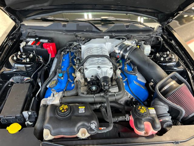 2013 Ford Shelby GT500 Base | Longwood, FL | Millenia Motors