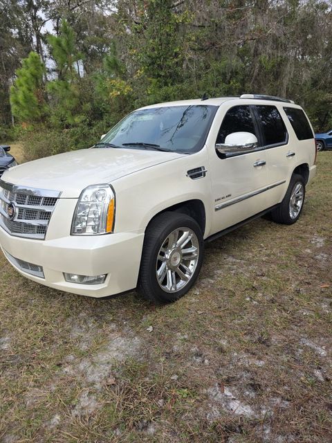 2014 Cadillac Escalade Platinum | Annapolis, MD | Annapolis Public Auto Auction