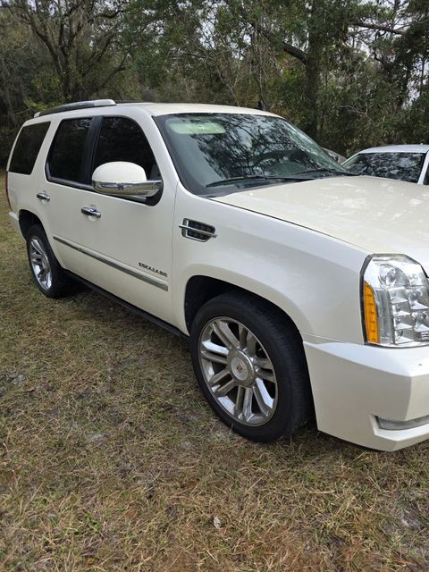 2014 Cadillac Escalade Platinum | Annapolis, MD | Annapolis Public Auto Auction 2014 Cadillac Escalade Platinum | Annapolis, MD | Annapolis Public Auto Auction