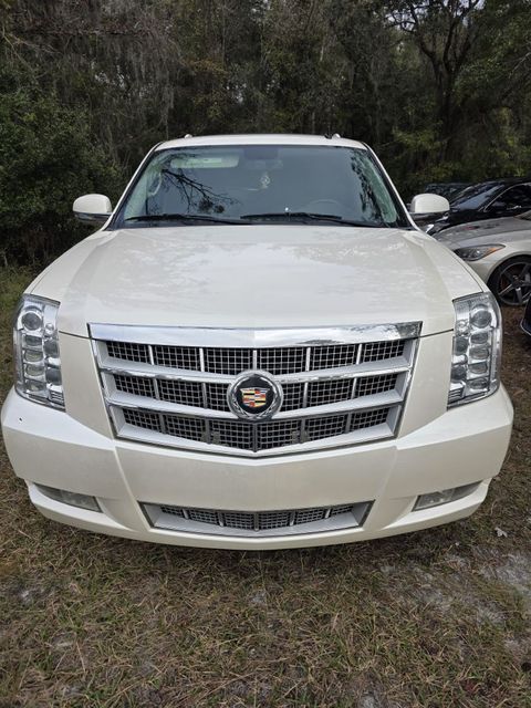2014 Cadillac Escalade Platinum | Annapolis, MD | Annapolis Public Auto Auction