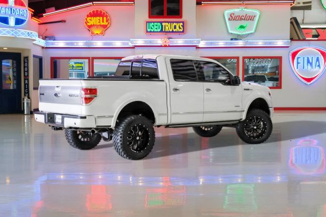 2014 Ford F-150 Platinum | Addison, TX | Mr Car Guys