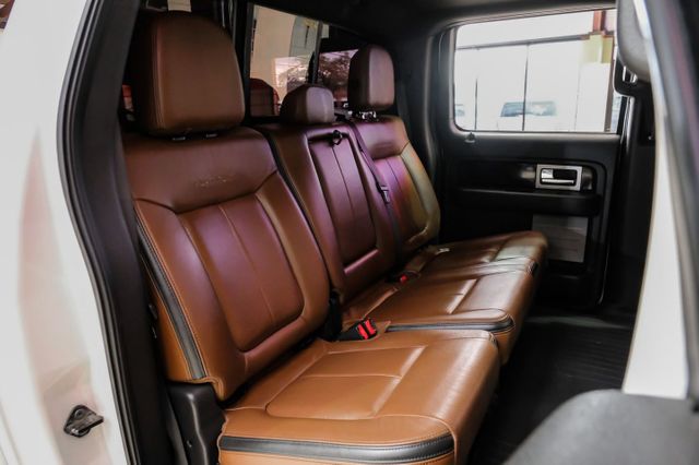 2014 Ford F-150 Platinum | Addison, TX | Mr Car Guys