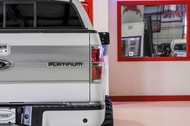 2014 Ford F-150 Platinum | Addison, TX | Mr Car Guys