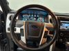 2014 Ford F-150 PLATINUM | Carrollton, TX | CarChoice.com